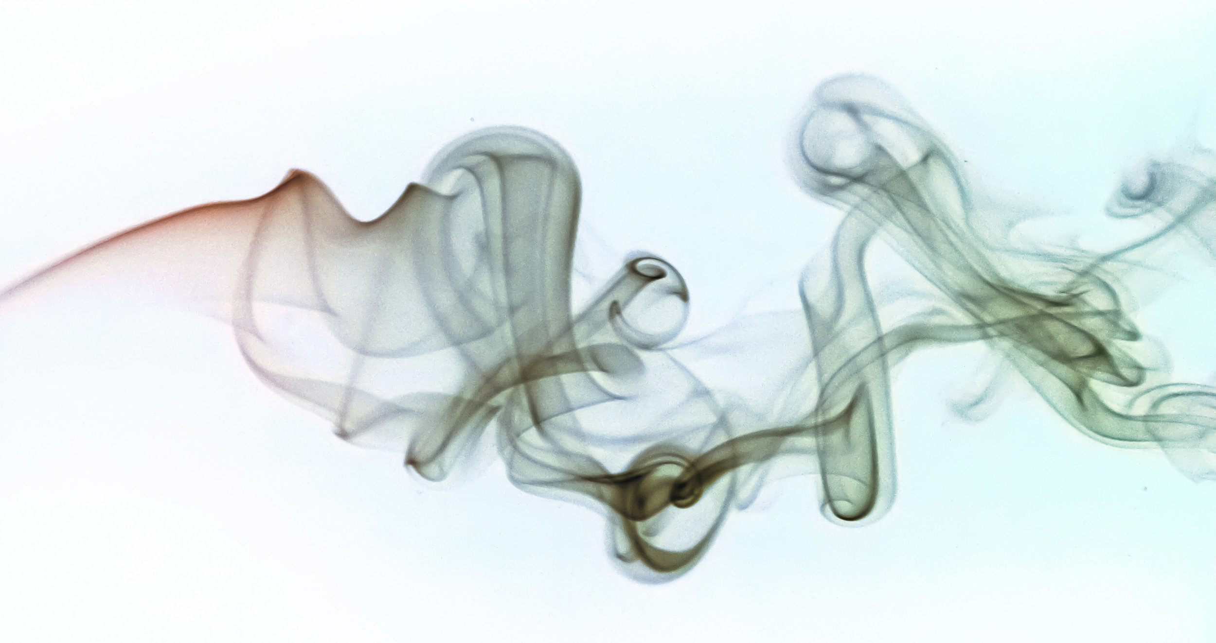 banner_inverted_80.jpg